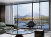 Costal Balcony Anti Corrosion Aluminum Alloy Window UV Protection Sliding Window Door